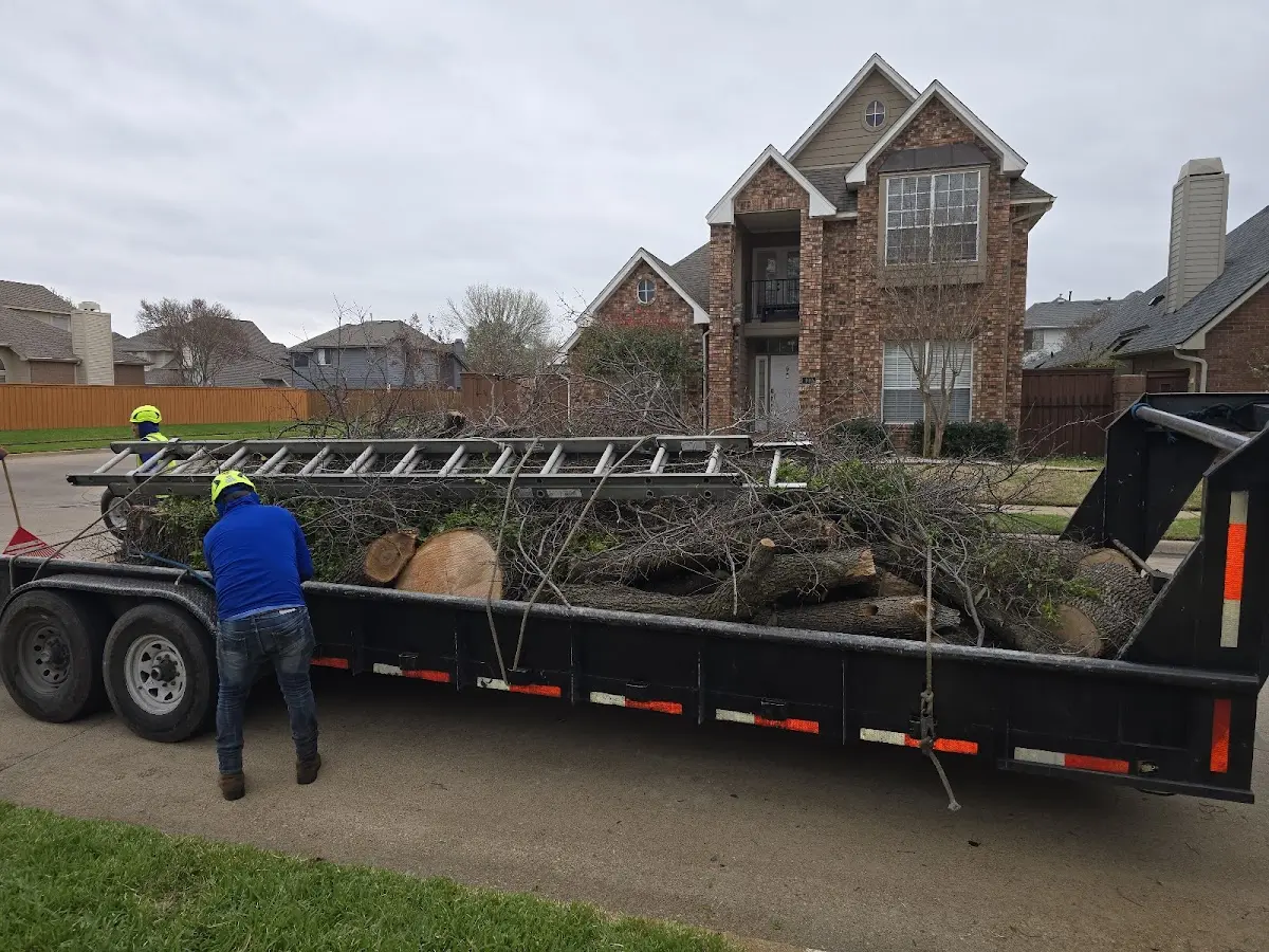 Expert Tree Fertilization with proper safety equipment in Earling